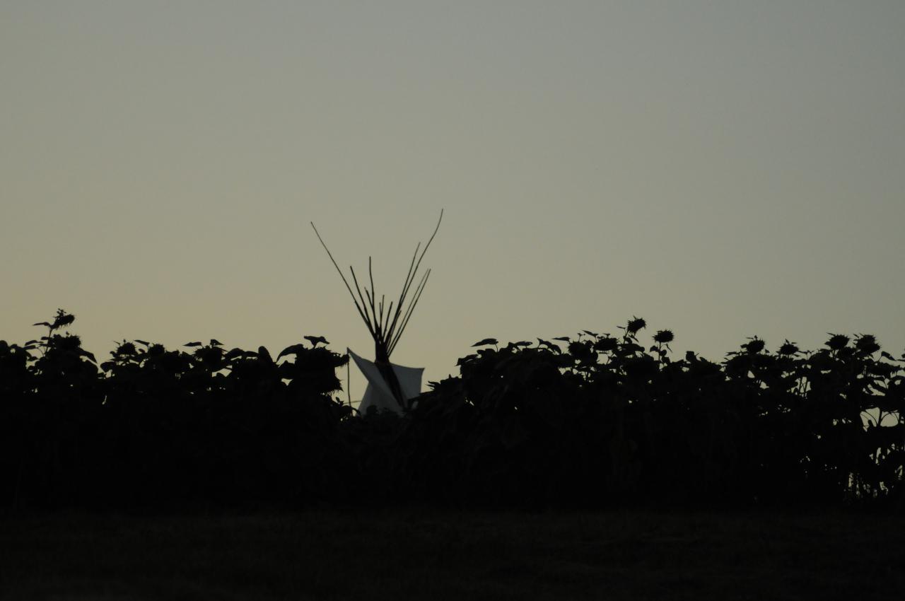 Tipi de nuit