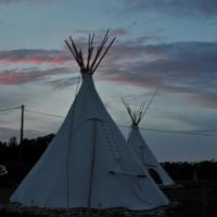 LES TIPIS DE BAYOT